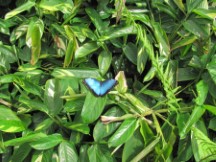 La Paz Waterfall Garden, Costa Rica