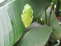 La Paz Waterfall Garden, Costa Rica
