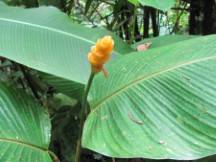 La Paz Waterfall Garden, Costa Rica