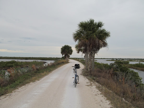 Merrill island wildlife Refuge, FL