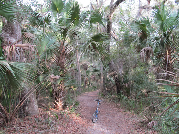 Bike trail near Flagner Beach, FL