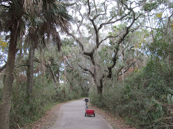 Ted's Bike near Flagner Beach, FL