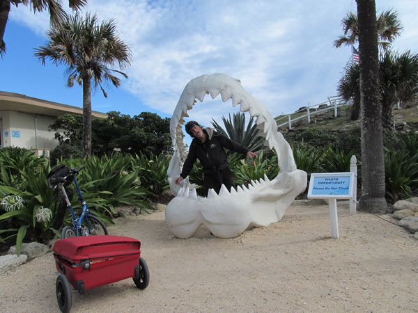 Shark Jaws at Marineland in Florida