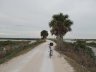 Ted’s bike on 7 mile loop at Merrill island wildlife Refuge, FL