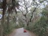Ted's Bike near Flagner Beach, FL