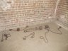 Ft. Clinch, FL