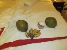 Fruit from my 36 year old friend in Thailand