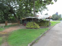 Fruit stand in Malaysia
