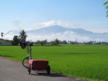 Ted’s bike in front of a rice paddy south of Alor Star, Malaysia