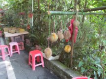 Fruit stand on the island of Penang, Malaysia
