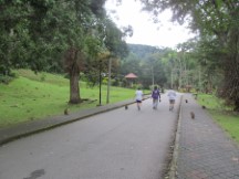 Botanic garden in George town on the island of Penang, Malaysia