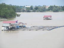 River near town of Muar, Malaysia