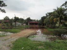 Flooded yard in front of a house south of Muar, Malaysia