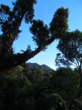 View of summit of Volcano Pacaya part way up the hike