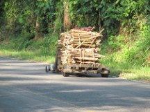 Cart loaded with wood going down a hill, Ted’s guess is the wood is probably used for cooking.