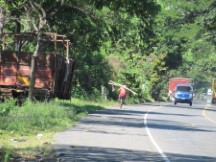 Typical highway view in El Salvador, here a man is taking a very long log somewhere on his bike