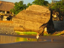 View of beach near El Zunzai, El Salvador