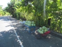 Roadside watermelon sales stand in El Salvador.