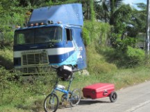 This truck has probably been on the side of the road for a long time in El Salvador, weeds are starting to cover the truck.