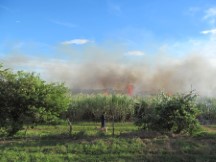 Burning a field in El Salvador, I think this is so they can start a new crop next year.