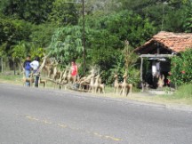 People selling rain deer made out of straw in Honduras