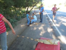 Peoples with tied up iguanas in Honduras.