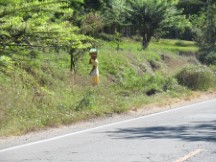 Lady carrying something on her head in Honduras