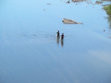 People fishing in river in Honduras