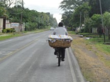 Man riding bike with basket in Nicaragua