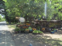 Fruit stand in Nicaragua
