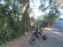 The motor cycle Ted rented and drove around on Ometepe Island, Nicaragua after he climber Volcano Concepcion.