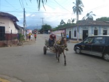 Horse drawn carriage in Granada, Nicaragua.