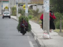 Typical view on Ecuador streets