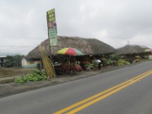 Fruit stand between Riobamba, Ecuador and Guayaquil, Ecuador.