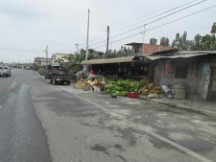 Fruit for sale near La Troncal, Ecuador.