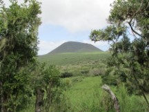 Highest point on Isle Santa Maria, Ecuador.