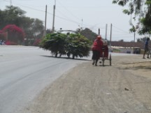 Vehicles on highway between Chiclayo, Peru and Pacasmayo, Peru.