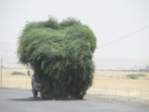 A loaded down truck on the highway between Pacasmayo, Peru and Trujillo, Peru.