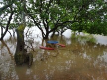 There was a lot of rain while Ted was in Uruguay. The river ended out going over the picnic table at Puerto Viejo, Uruguay.  