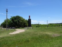 Winnery north of Carmelo, Uruguay.