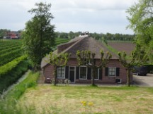 Netherlands – Neat trees in front of house