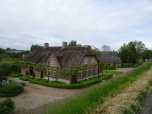 Netherlands – Neat trees