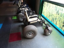 Belgium – Nature park wheel chairs.