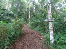 The trail Ted hiked on from Capurgana, Colombia to Sapzurro, Colombia – The trail had over 6 inches of mud.