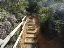 Trail at Arvi Park near Medellin, Colombia.
