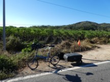 Ted’s bike with farm of previous pictured crop in background - Mexico.