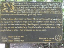 Watch out above at Tikal National Park, Guatemala.