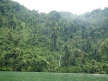Traveling up the Rio Dulce between the town of Rio Dulce and Livingston, Guatemala.