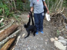 Senda Verde Wildlife Sanctuary, Bolivia. 