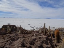 World’s largest salt flats near Uyuni, Bolivia – Island in salt flats